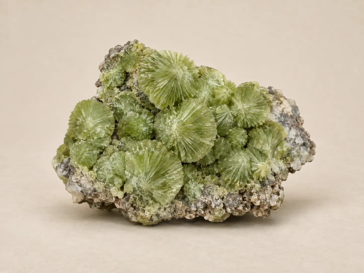 Groen mineraalprofiel van wavelliet